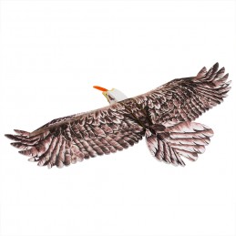 Aigle Eagle II 1m43 E19 EPP Kit DW Hobby DW Hobby - Dancing Wings Hobby E1901 - 2