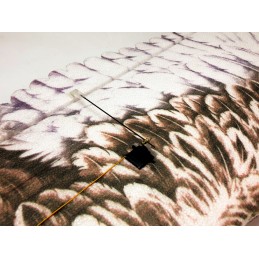 Aigle Eagle II 1m43 E19 EPP Kit DW Hobby DW Hobby - Dancing Wings Hobby E1901 - 6