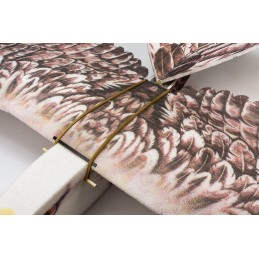 Aigle Eagle II 1m43 E19 EPP Kit DW Hobby DW Hobby - Dancing Wings Hobby E1901 - 7