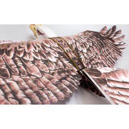 Aigle Eagle II 1m43 E19 EPP Kit DW Hobby DW Hobby - Dancing Wings Hobby E1901 - 8