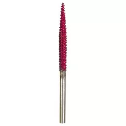 Strawberry grating metal-tipped carbide needle shape Proxxon Proxxon PRX-29064 - 1