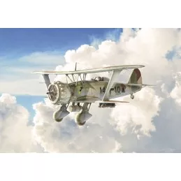 Aircraft Henschel Hs123 1/48 Italeri Italeri I2819 - 1
