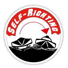 Boat Mad Flow Brushless V3 F1 RTR Joysway Joysway 8653V3 - 3