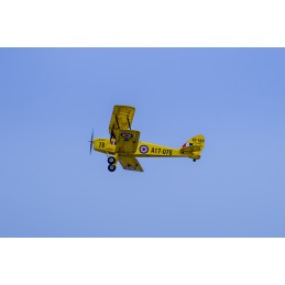 Tiger Moth 800m S39 Kit ARF PNP balsa DW Hobby DW Hobby - Dancing Wings Hobby SCG3904 - 7