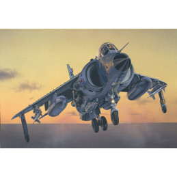 Avion Sea Harrier FRS.1 1/72 Italeri Italeri I1236 - 1