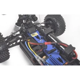Pirate Flasher RTR 4x4 2.4GHz T2M T2M T4958 - 5