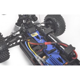 Pirate Stinger II RTR 4x4 2.4GHz T2M T2M T4956 - 4