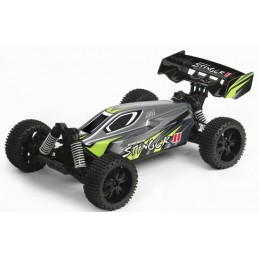 Pirate Stinger II RTR 4x4 2.4GHz T2M T2M T4956 - 1