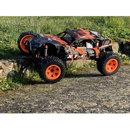 Pirate XT-C RTR 4x4 2.4GHz T2M T2M T4972 - 18