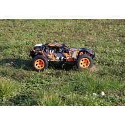 Pirate XT-C RTR 4x4 2.4GHz T2M T2M T4972 - 21