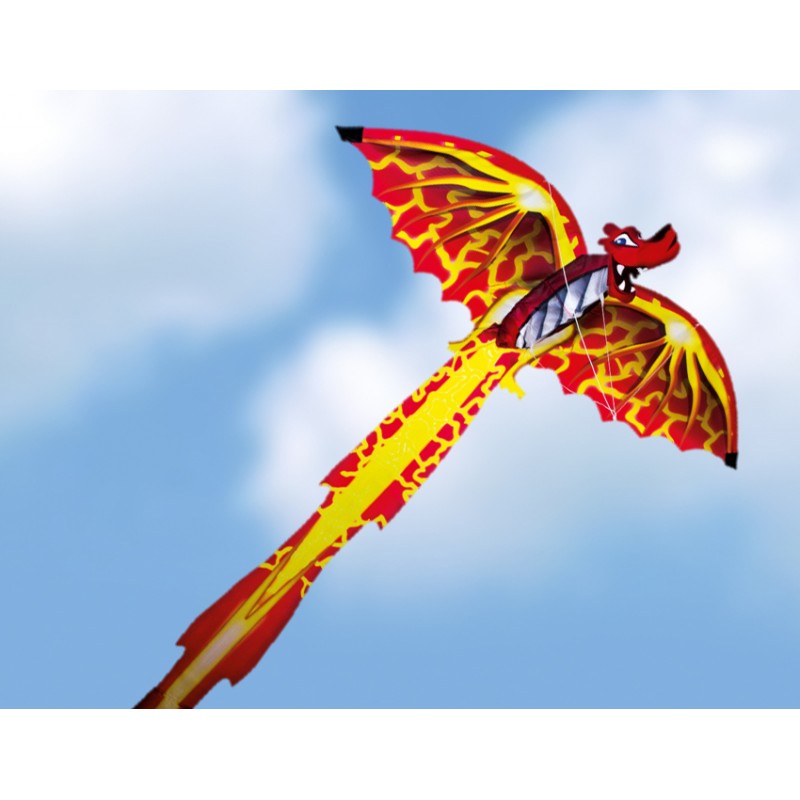 Paul Günther 1041 - Cerf-volant de sport Flexus 150 GX, Cerf-volant pour  adultes avancés, Voile indéchirable en polyester ripstop et tiges en fibre  de verre, Taille env. 150 x 65 cm 