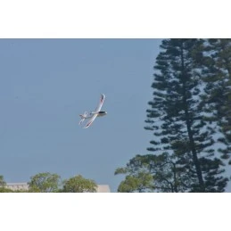 Avion Ranger 600 - 600mm avec stabilisateur de vol RTF Volantex Volantex V761-2 - 5