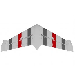 Aile volance Eagle 1m PNP XFly  XF115PG-R - 5