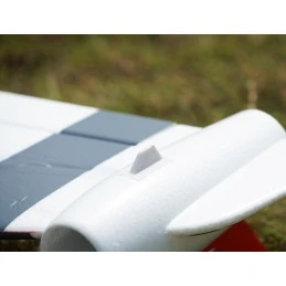 Aile volance Eagle 1m PNP XFly  XF115PG-R - 8