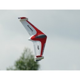 Aile volance Eagle 1m PNP XFly  XF115PG-R - 13