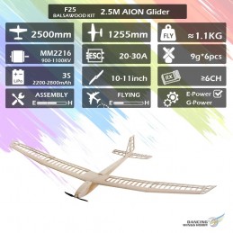 Aion 2500mm Glider Balsa Kit DW Hobby DW Hobby - Dancing Wings Hobby F2501C - 8
