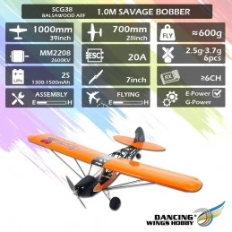 copy of Tiger Moth 800m S39 Kit ARF PNP balsa DW Hobby DW Hobby - Dancing Wings Hobby SCG3804 - 12