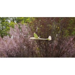 Sparrow Glider 620mm Balsa Kit DW Hobby DW Hobby - Dancing Wings Hobby F0604 - 11