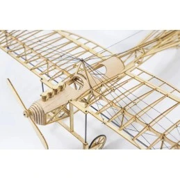 Etrich Taube Dove 1/31 découpe laser bois, modèle statique DW Hobby DW Hobby - Dancing Wings Hobby VX15 - 9