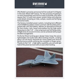 Jet EDF F-22 Raptor Bi-Turbine 40mm env. 702mm PNP XFly  XF117P - 2