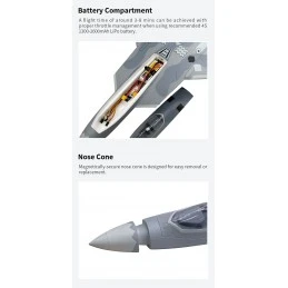 Jet EDF F-22 Raptor Bi-Turbine 40mm env. 702mm PNP XFly  XF117P - 5