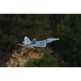 Jet EDF F-22 Raptor Twin Turbine 40mm Approx. 702mm PNP XFly  XF117P - 8