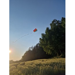 Mini Parafoil Kite - Gunther Gunther GUN-1173 - 3