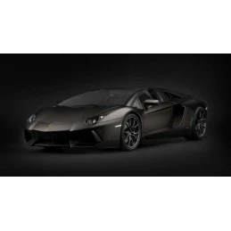 Lamborghini Aventador LP 700-4 Roadster Nero Nemesis Matte Black 1/8 - Poach Pocher HK121F - 5