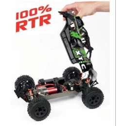 Pirate XT-C Brushless Vert RTR 4x4 2.4GHz T2M T2M T4972BG - 3
