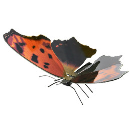 Papillon Eastern Comma Metal Earth Metal Earth MMS127 - 1