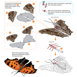 Eastern Comma Metal Earth Butterfly Metal Earth MMS127 - 2