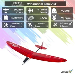 Planeur DLG Windrunner 1.20m FDCG12 Kit ARF balsa DW Hobby DW Hobby - Dancing Wings Hobby FDCG1201 - 7