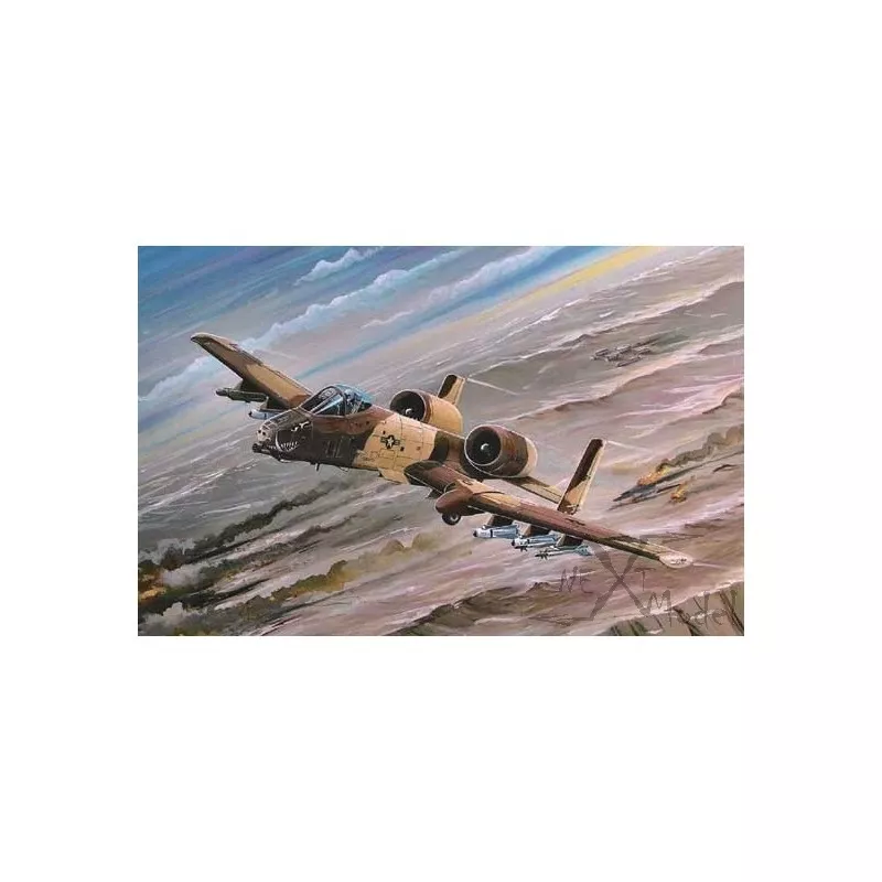 A-10A THUNDERBOLT II 1/72 Hobby Boss Hobby Boss HB80266 - 2