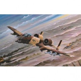 A-10A THUNDERBOLT II 1/72 Hobby Boss Hobby Boss HB80266 - 1