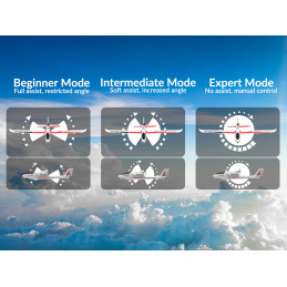 Avion Ranger 600 Stunt 3 axes - 600mm avec stabilisateur de vol RTF Volantex Volantex V761-2SW - 9