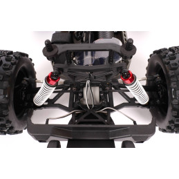 Pirate XT-II Brushless RTR 4x4 T2M T2M T4988 - 14