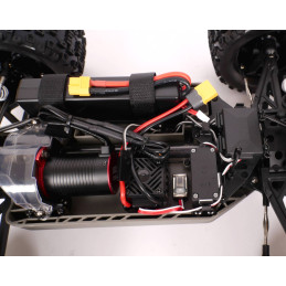 Pirate XT-II Brushless RTR 4x4 T2M T2M T4988 - 15