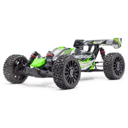 Rogue Buggy Brushless Yellow 1/10 RTR + Lipo/Charger Combo HobbyTech Hobbytech 1.ROGB.V2-XX-PACK - 8