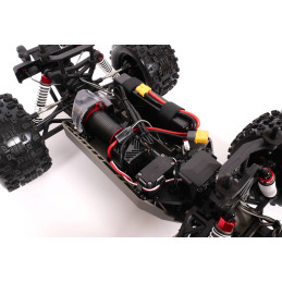 Pirate XT-II Brushless RTR 4x4 T2M T2M T4988 - 17