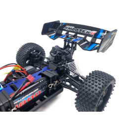 Pirate Shooter II Blue RTR 4x4 2.4GHz T2M T2M T4989BU - 7